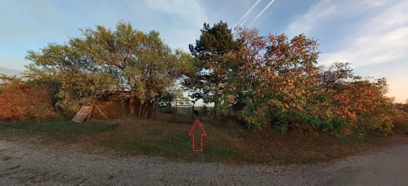 Pronájem zahrady, Hustopeče, 1387 m2