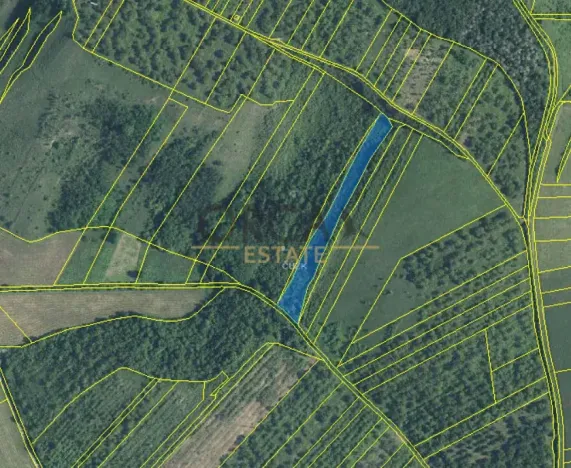 Prodej louky, Hustopeče, 6595 m2