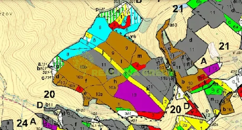 Prodej lesa, Všemina, 68618 m2