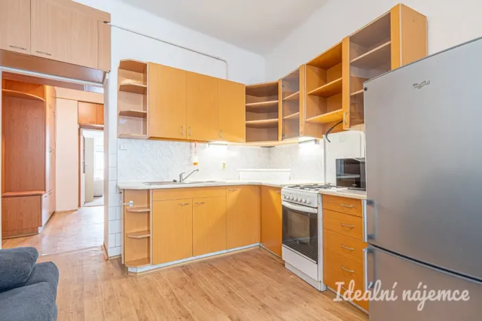 Pronájem bytu 1+1, Brno, Pekařská, 48 m2