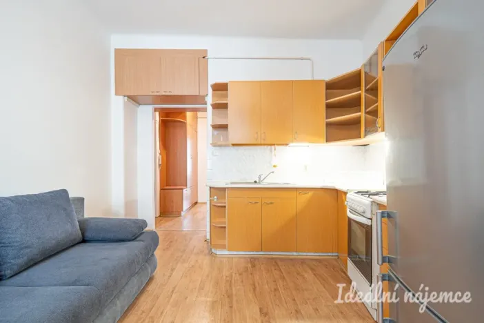 Pronájem bytu 1+1, Brno, Pekařská, 48 m2