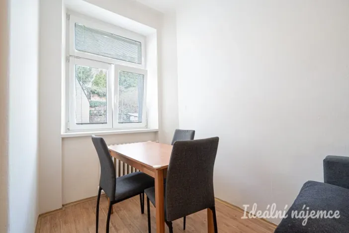 Pronájem bytu 1+1, Brno, Pekařská, 48 m2