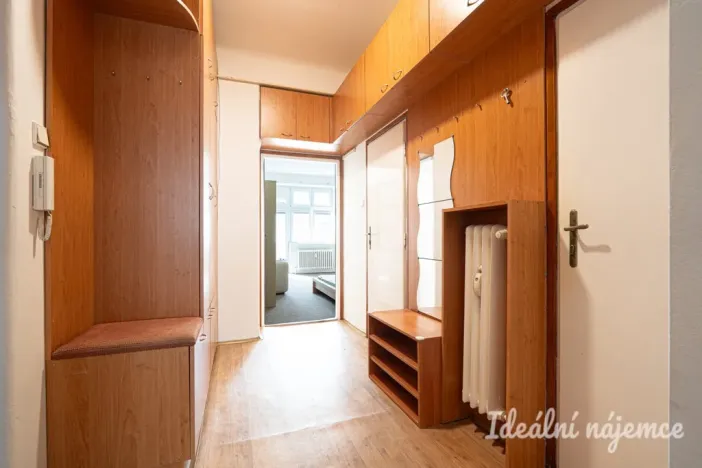 Pronájem bytu 1+1, Brno, Pekařská, 48 m2