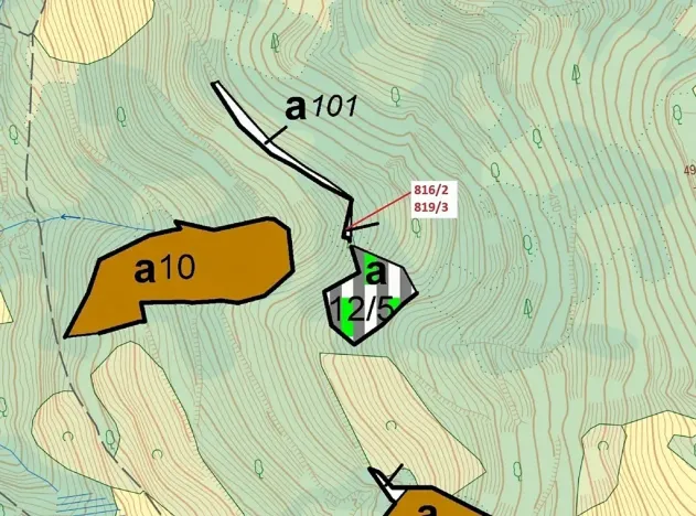 Dražba lesa, Zubrnice, 85 m2