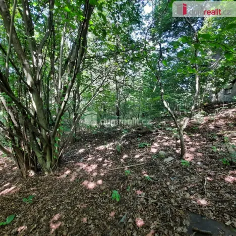 Prodej pozemku pro bydlení, Liberec - Liberec XXX-Vratislavice nad Nisou, Pod Skalkou, 5544 m2