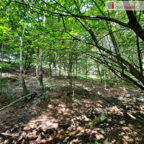 Prodej pozemku pro bydlení, Liberec - Liberec XXX-Vratislavice nad Nisou, Pod Skalkou, 5544 m2