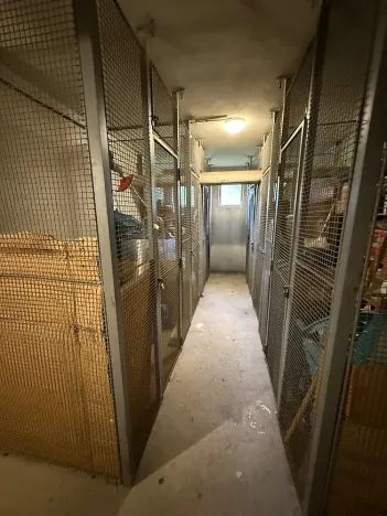 Prodej bytu 3+1, Olomouc - Nová Ulice, Brněnská, 72 m2