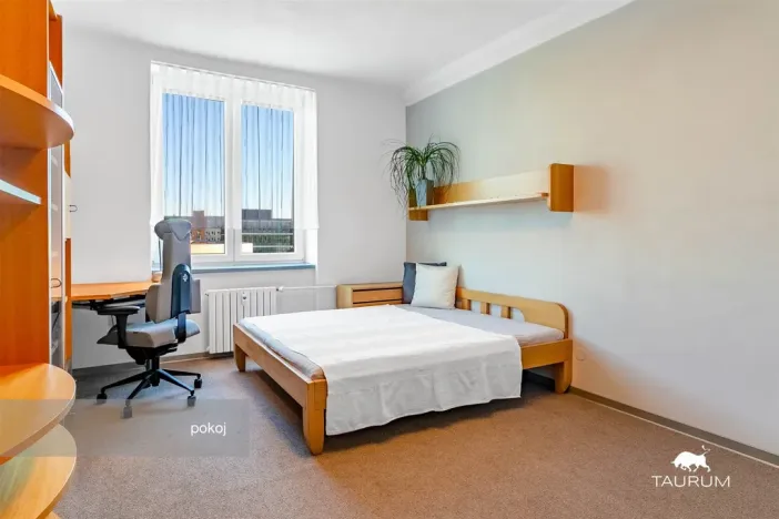 Prodej bytu 2+1, Plzeň - Východní Předměstí, Brojova, 58 m2