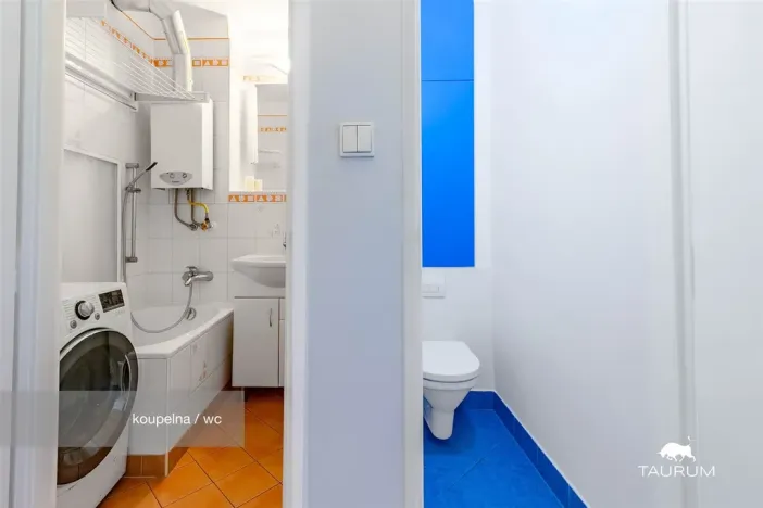 Prodej bytu 2+1, Plzeň - Východní Předměstí, Brojova, 58 m2