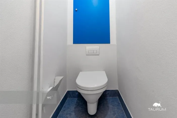 Prodej bytu 2+1, Plzeň - Východní Předměstí, Brojova, 58 m2