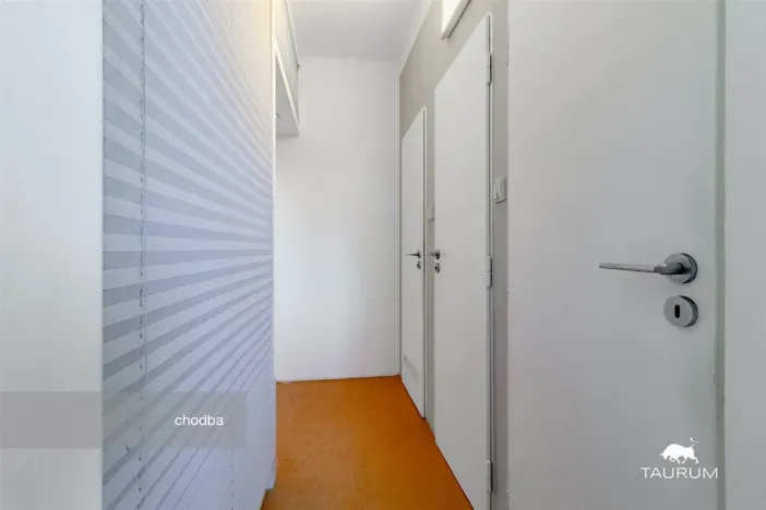 Prodej bytu 2+1, Plzeň - Východní Předměstí, Brojova, 58 m2