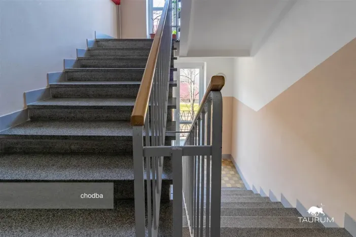 Prodej bytu 2+1, Plzeň - Východní Předměstí, Brojova, 58 m2