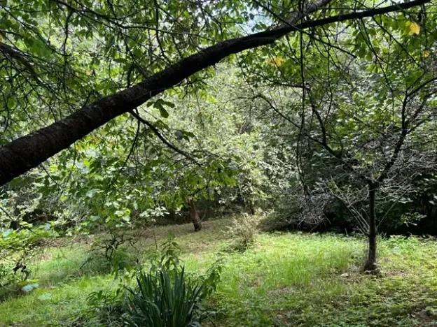 Pronájem zahrady, Křivoklát, 770 m2