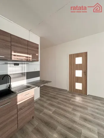 Pronájem bytu 1+1, Jirkov, Alešova, 35 m2