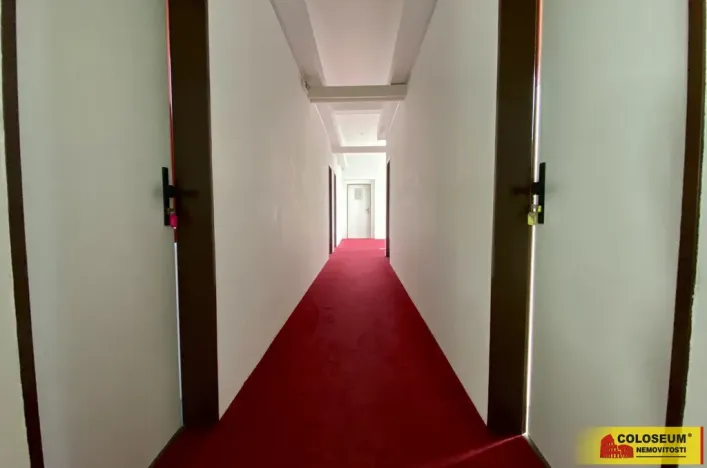 Pronájem ubytování, Hodonín, 292 m2