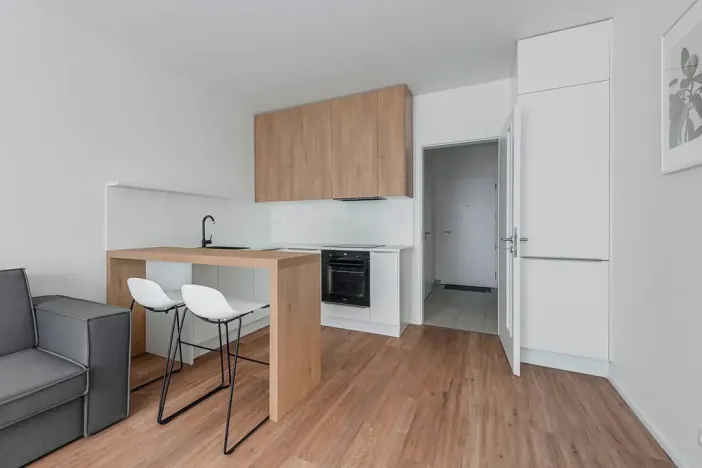 Pronájem bytu 1+kk, Praha - Karlín, Pernerova, 29 m2