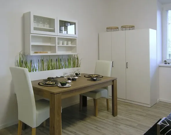 Pronájem bytu 2+kk, Ostrava, Myslbekova, 50 m2