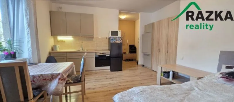 Pronájem bytu 1+kk, Tachov, Boženy Němcové, 27 m2