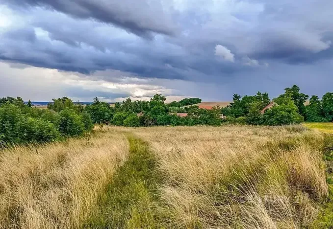 Prodej pozemku pro bydlení, Děčany, 2077 m2