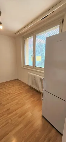 Pronájem bytu 1+1, Brno - Kohoutovice, Prokofjevova, 36 m2