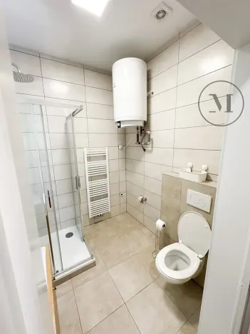 Pronájem bytu 1+kk, České Budějovice, Družstevní, 30 m2