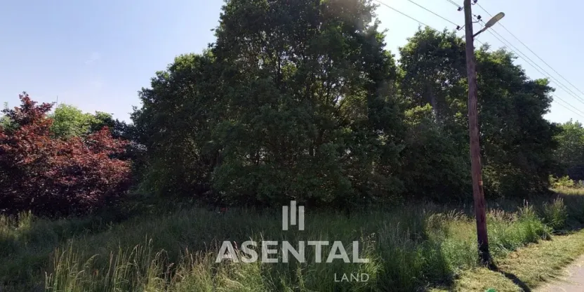 Prodej komerčního pozemku, Karviná - Lázně Darkov, U Olše, 7279 m2