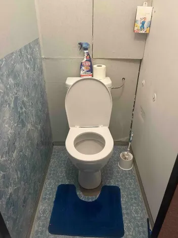 Prodej bytu 2+1, Mladá Boleslav, Palackého, 66 m2