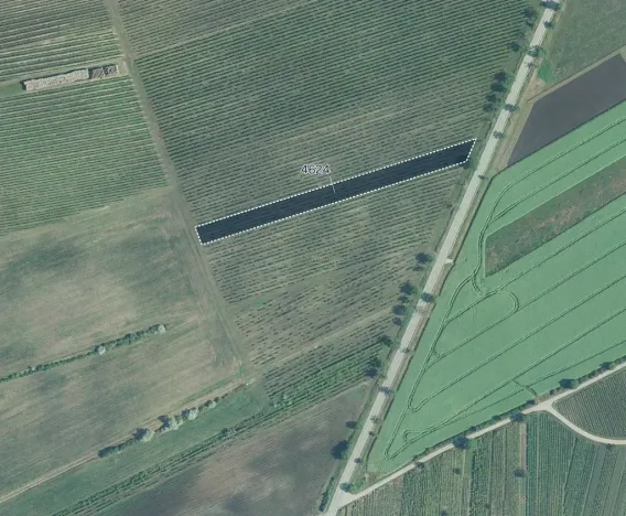 Prodej sadu/vinice, Hovorany, 3926 m2