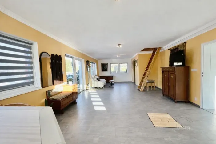 Prodej rodinného domu, Aš - Kopaniny, 250 m2