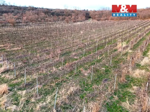 Prodej pole, Sedlec, 9215 m2