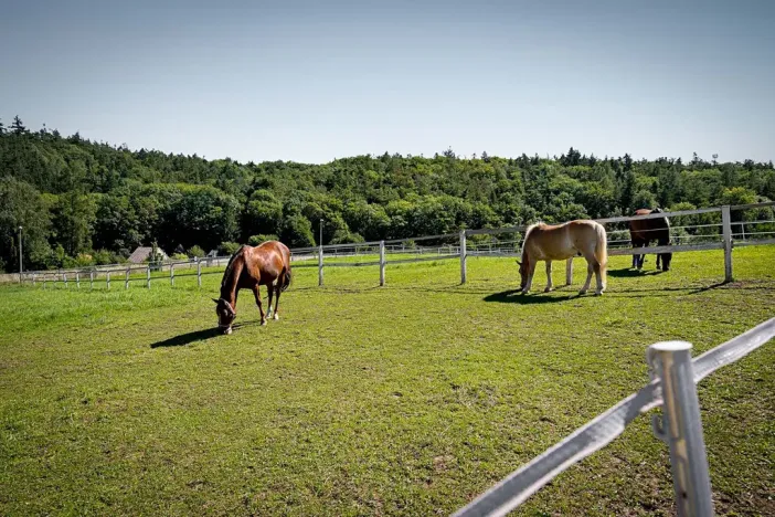 Prodej chaty, Praha - Přední Kopanina, Preláta, 26 m2