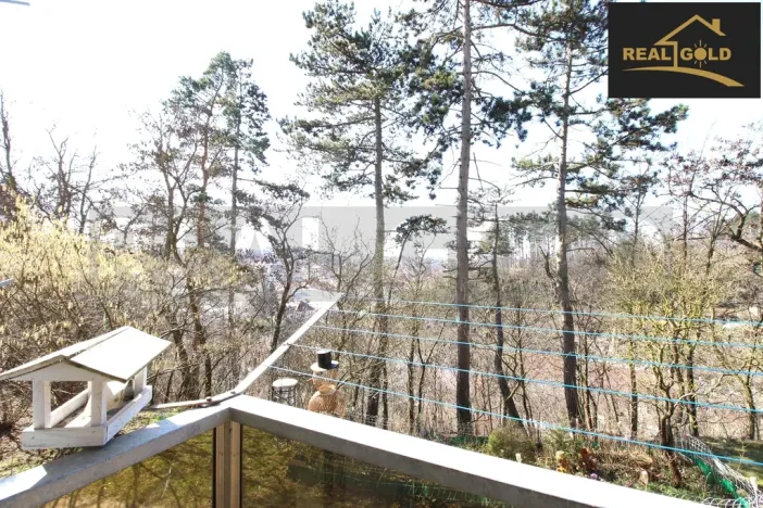 Pronájem bytu 2+1, Třebíč, Obránců míru, 54 m2