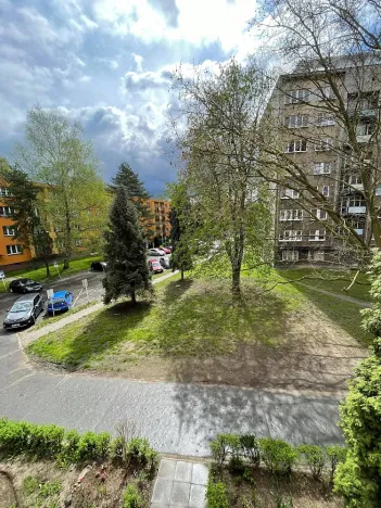 Pronájem bytu 1+kk, Ostrava - Hrabůvka, Krakovská, 21 m2