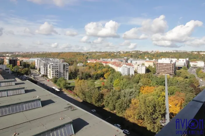 Pronájem bytu 1+kk, Praha - Vysočany, Freyova, 34 m2