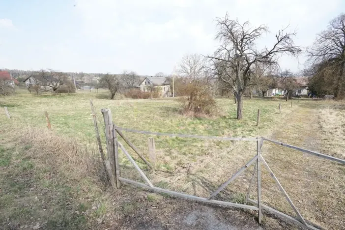 Prodej pozemku pro bydlení, Brzice - Proruby, Brzice, 1 m2