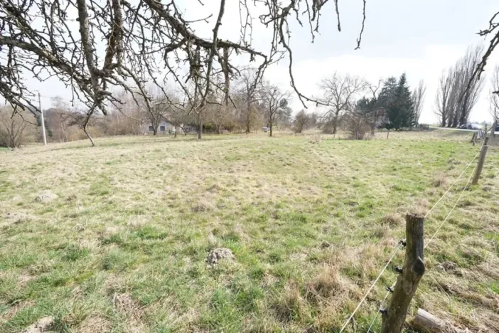 Prodej pozemku pro bydlení, Brzice - Proruby, Brzice, 1 m2