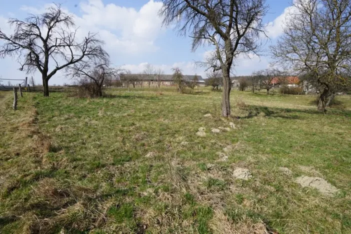 Prodej pozemku pro bydlení, Brzice - Proruby, Brzice, 1 m2