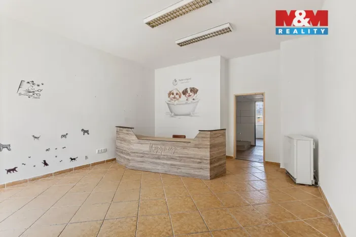 Prodej obchodního prostoru, Louny, Husova, 744 m2