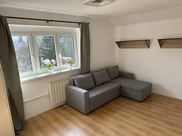 Pronájem bytu 1+1, Velké Hamry, 41 m2