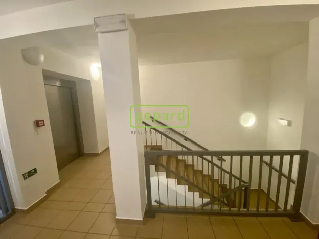 Pronájem bytu 1+kk, Dobřichovice, 5. května, 34 m2