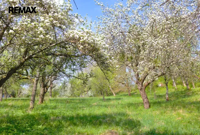 Prodej pozemku pro bydlení, Březnice, 1697 m2