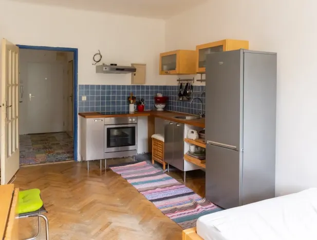 Pronájem bytu 1+kk, Praha - Žižkov, Biskupcova, 28 m2