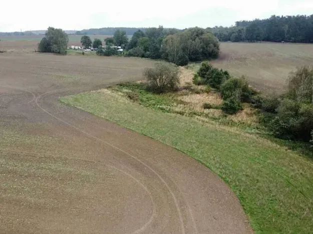 Dražba pole, Kostelec nad Černými lesy, 12366 m2