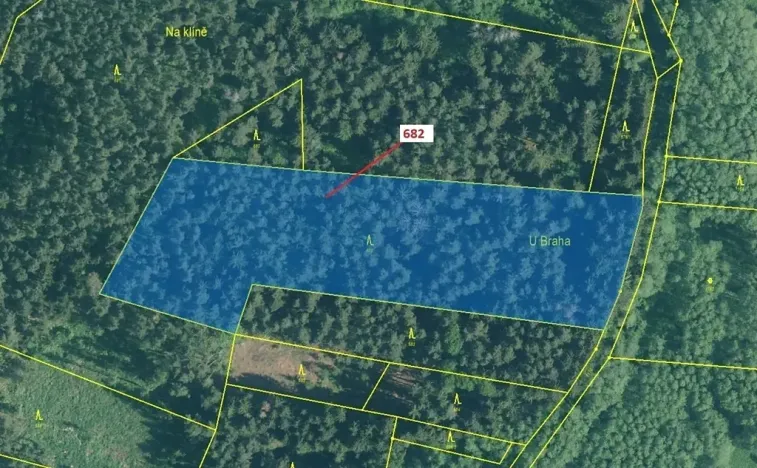 Dražba lesa, Kuřimany, 11584 m2