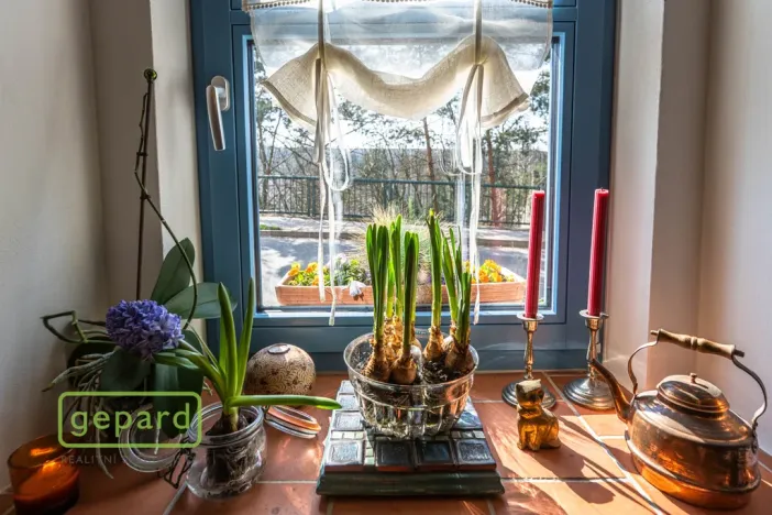 Prodej rodinného domu, Olovnice, Kralupská, 164 m2