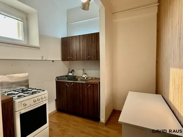 Pronájem bytu 2+1, Brno - Staré Brno, Ypsilantiho, 44 m2