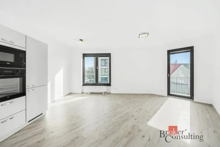 Pronájem bytu 2+kk, Plzeň - Jižní Předměstí, Železná, 52 m2