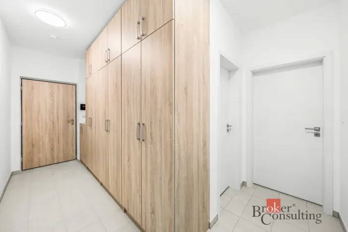 Pronájem bytu 2+kk, Plzeň - Jižní Předměstí, Železná, 52 m2