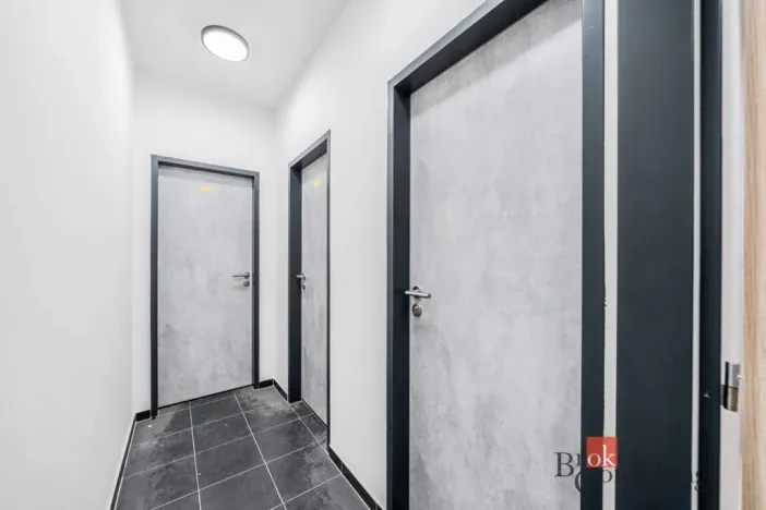 Pronájem bytu 2+kk, Plzeň - Jižní Předměstí, Železná, 52 m2