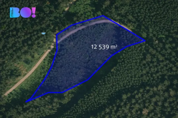 Prodej lesa, Jasenná, 58310 m2